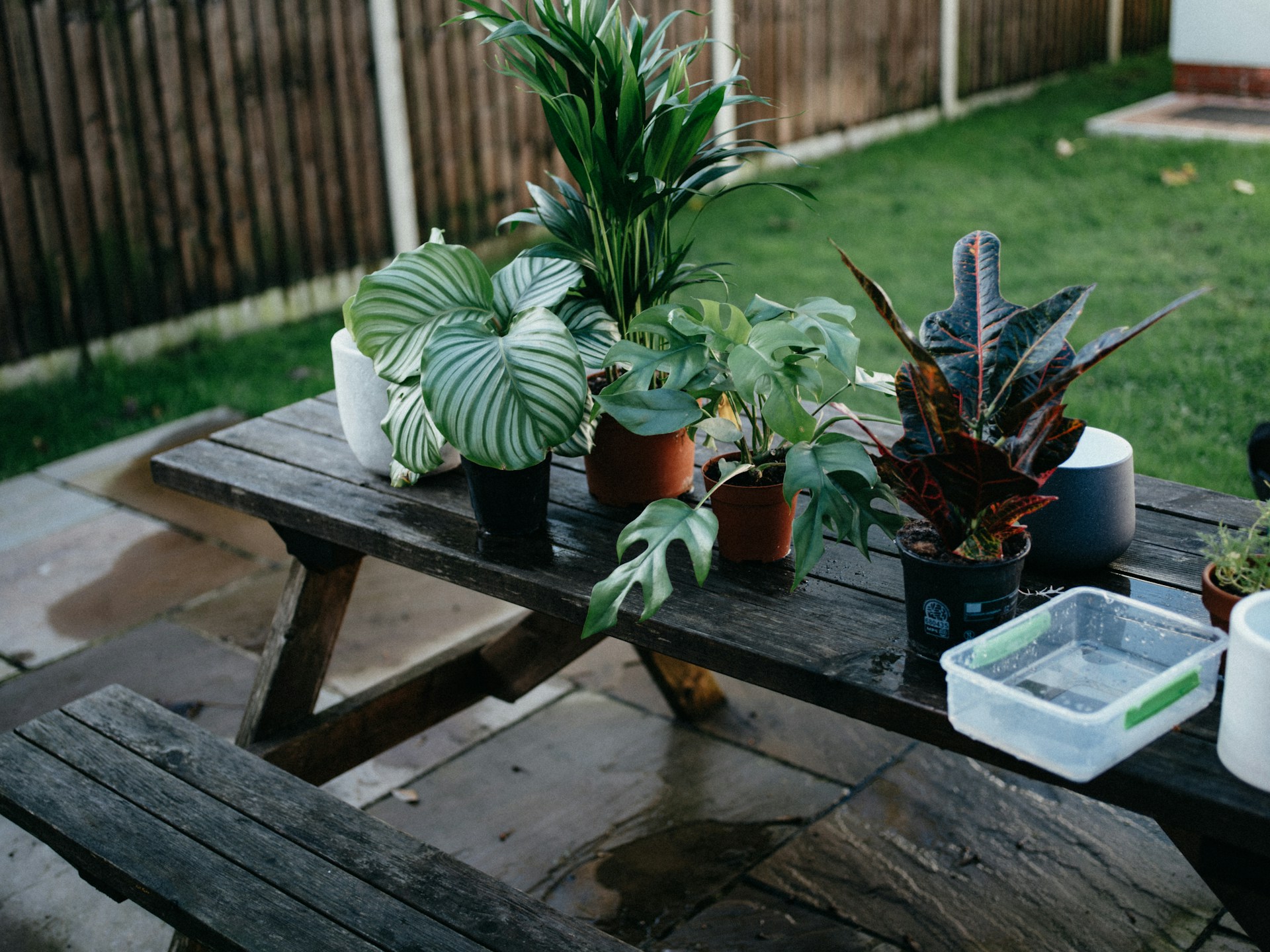 Outdoor picnic table with lots of plants