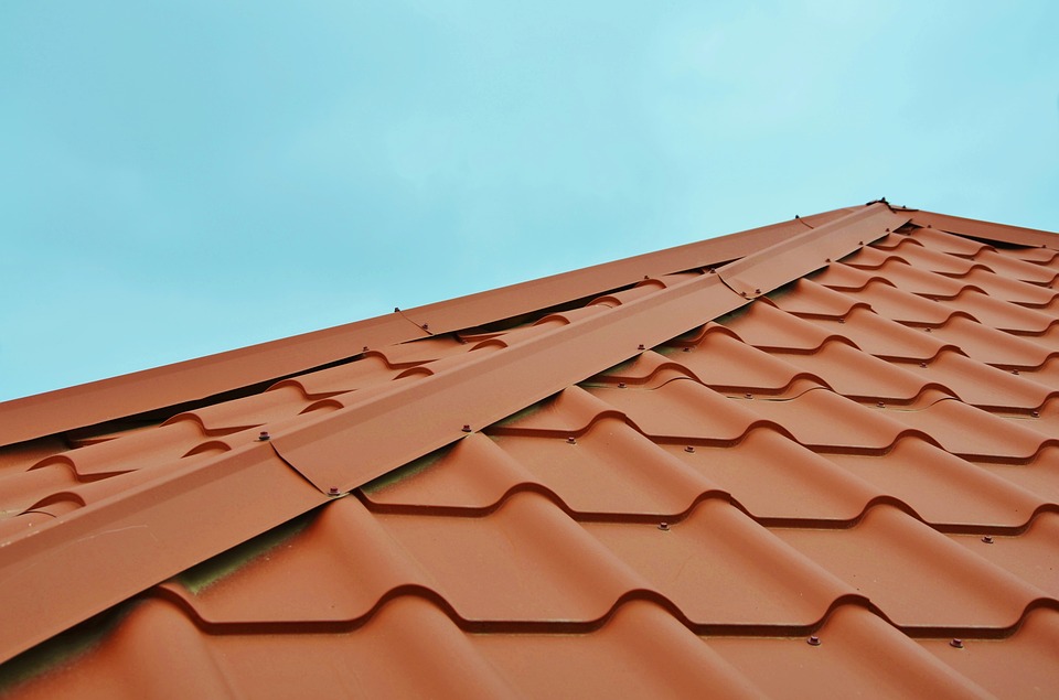 Roof shingles