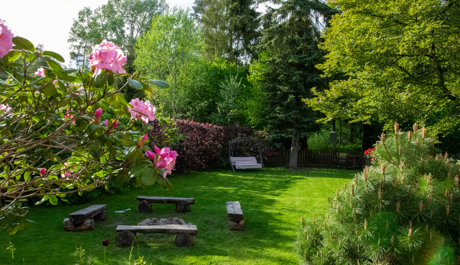 Garden with bushes with flowers