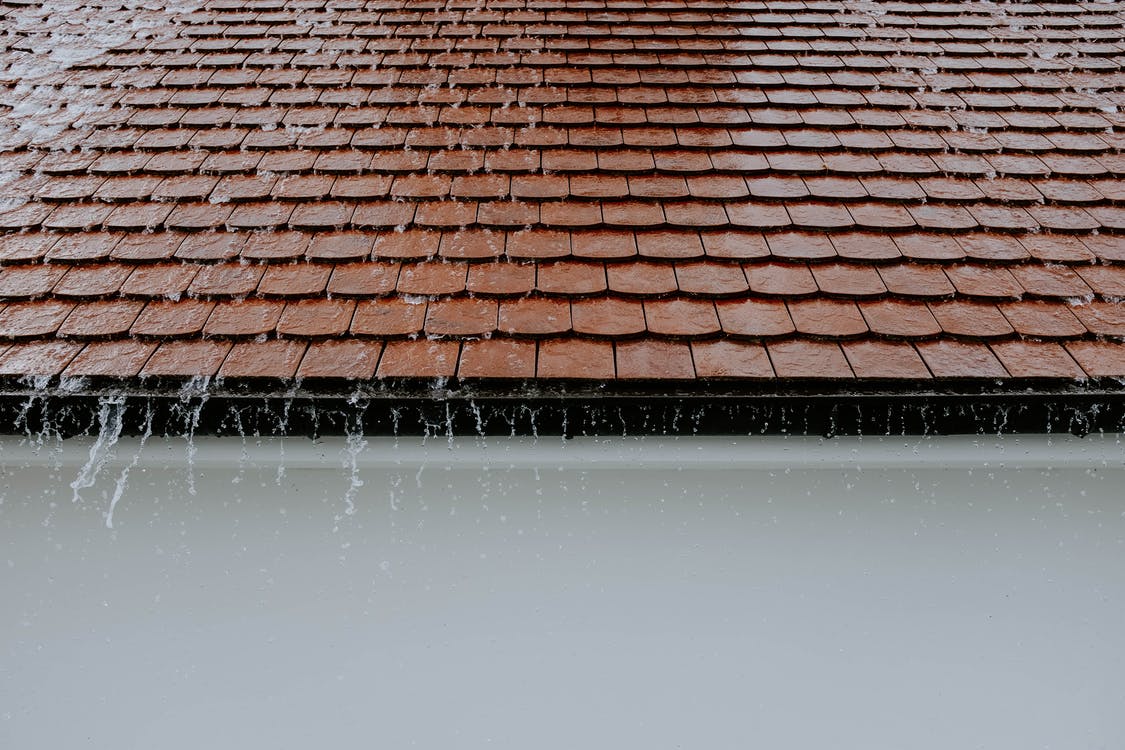 roof, rain, gutters