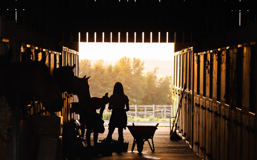 Person in a barn with animals