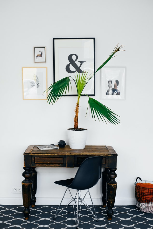 Desk, chair, artwork, plant