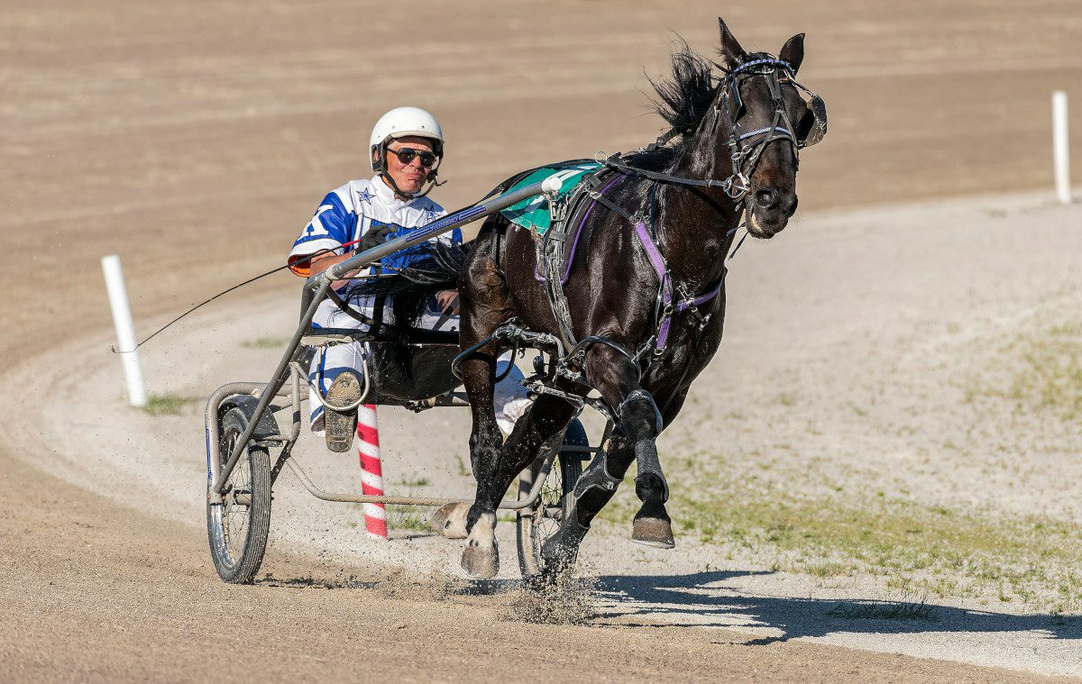 Horse race