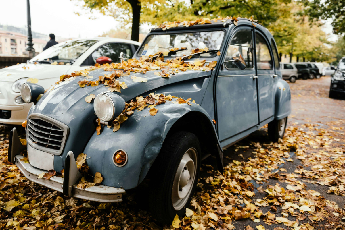 Car covered in leaved. Image by Pexels