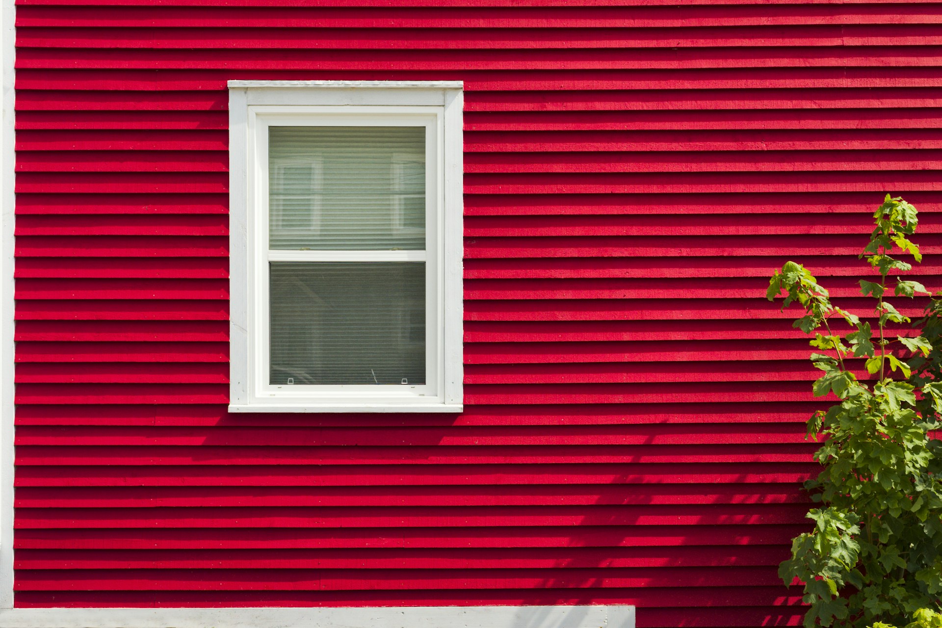 a red building with a white window and a tree. Photo by Eric Prouzet on Unsplash