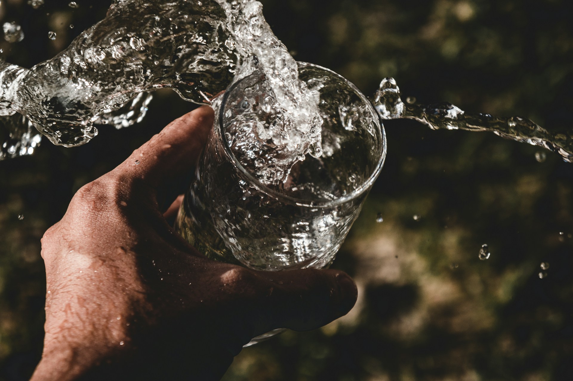 Person holding a glass filled with water. Image by Unsplsh