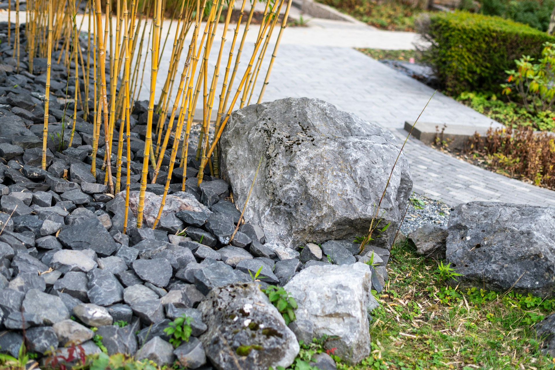 Bamboo sticks and rocks in a garden. Image by Unsplash