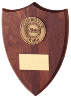 Creative's Plaques