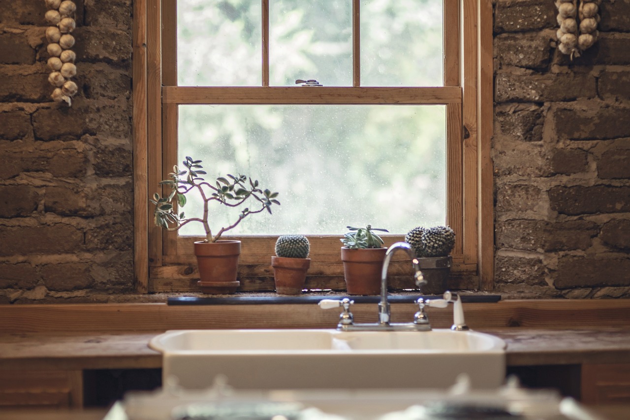 Plants in a window in front of a sink. Image by Pixabay