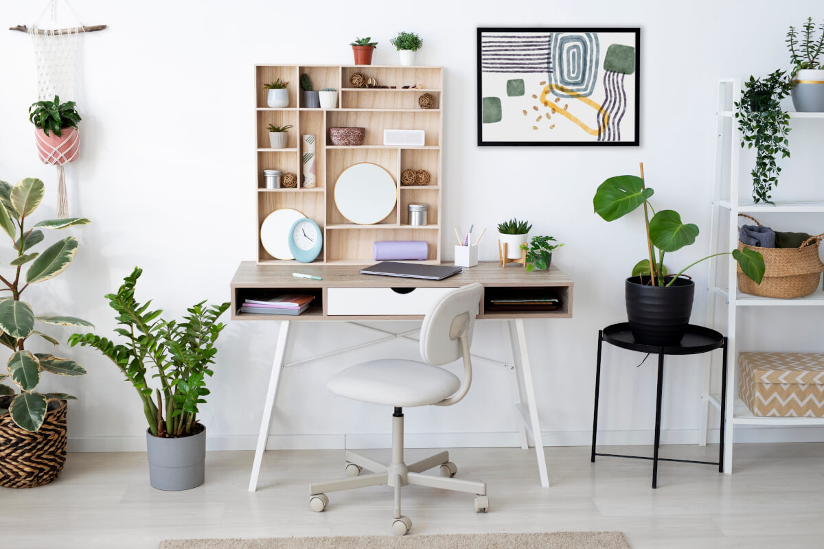 Room full of boxes, plants, guitar, step ladder