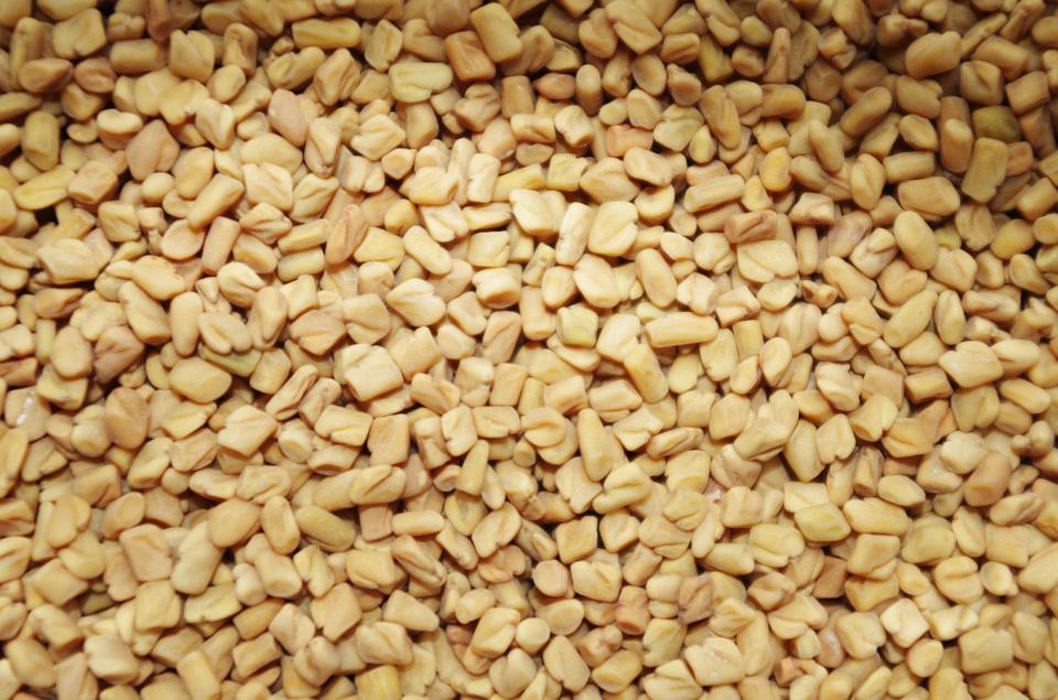 Fenugreek Herb