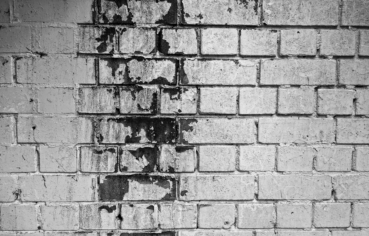 Brick wall, mold. Image by Pixabay