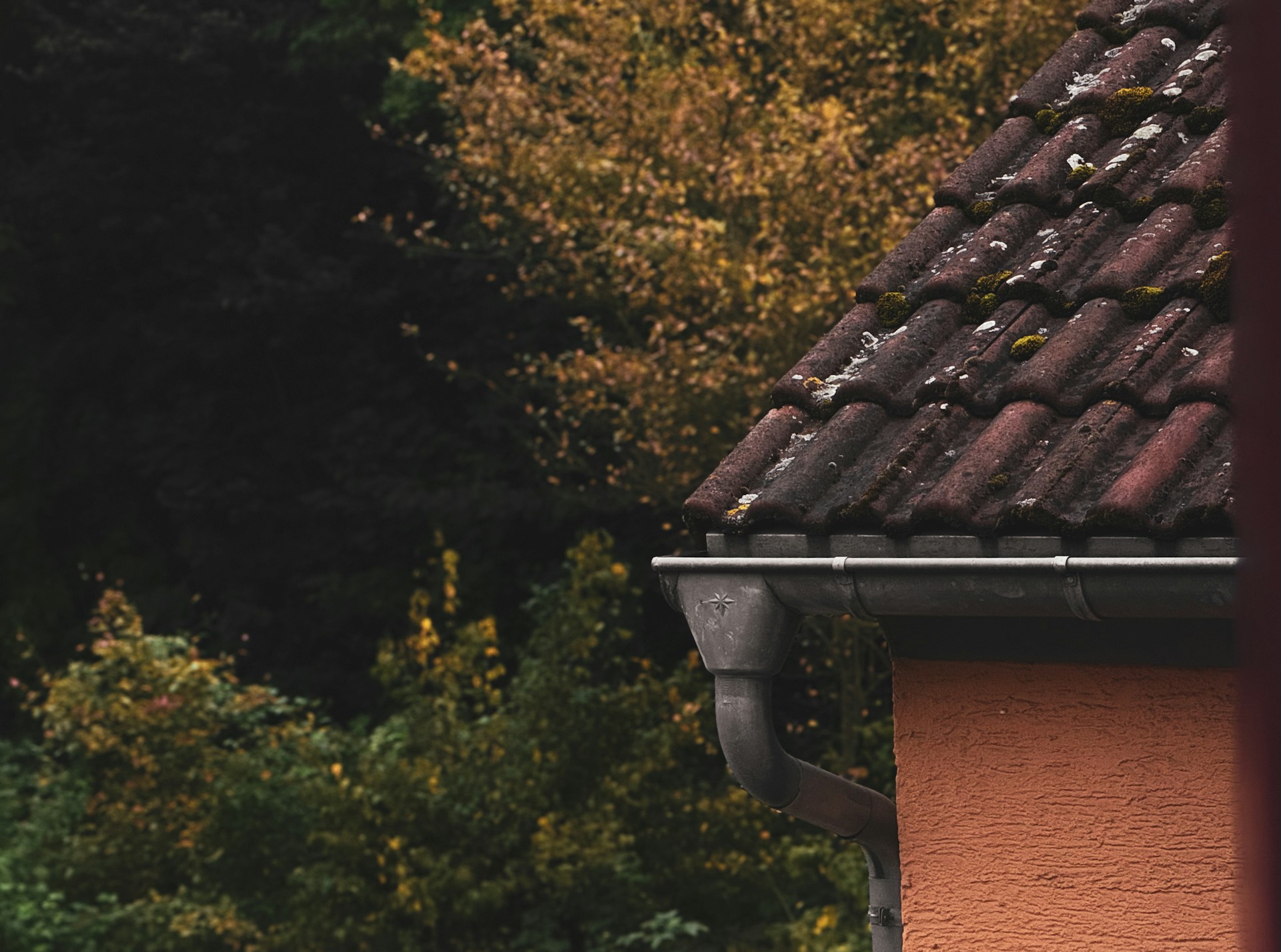 Professional gutter cleaning with debris being removed from a residential roof line in preparation for the rainy season. Image by Unsplash