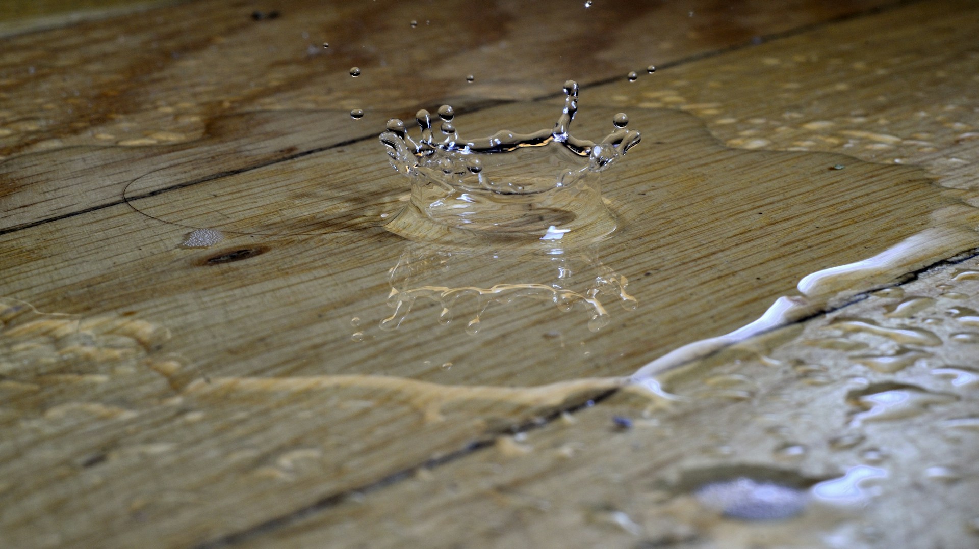 Water puddle on a hardwood floor. Image by Unsplash