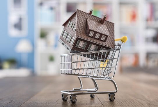 House in a shopping cart