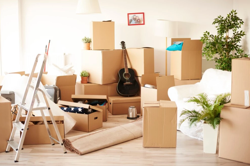 Room full of boxes, plants, guitar, step ladder