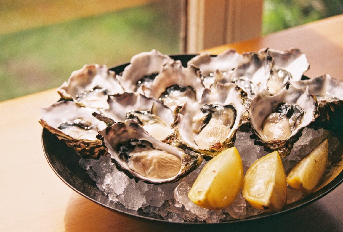 Oysters and lemon on a plate of ice