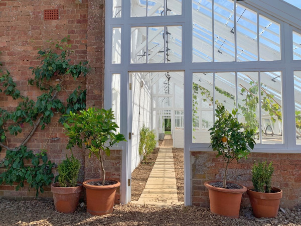 Sunroom, plants