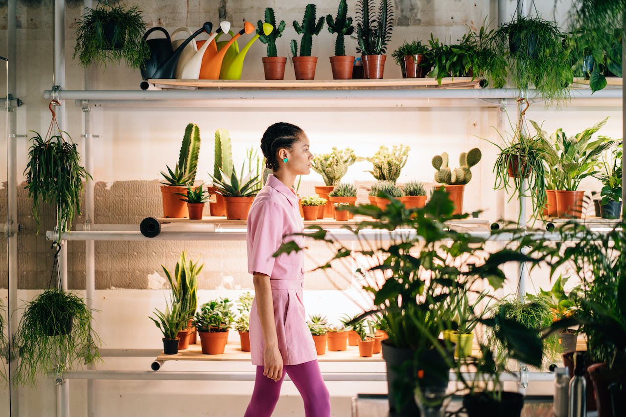 Person in pink clothing. Lots of plants on shelves
