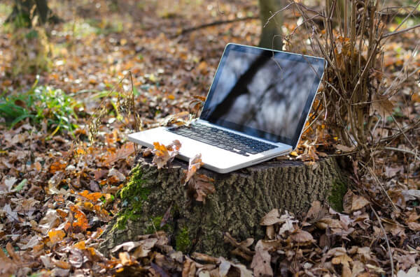 Laptop in the forest