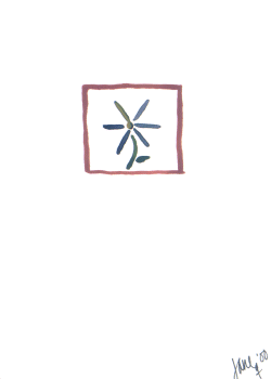 Flower In Red Box