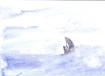 Windsurfer