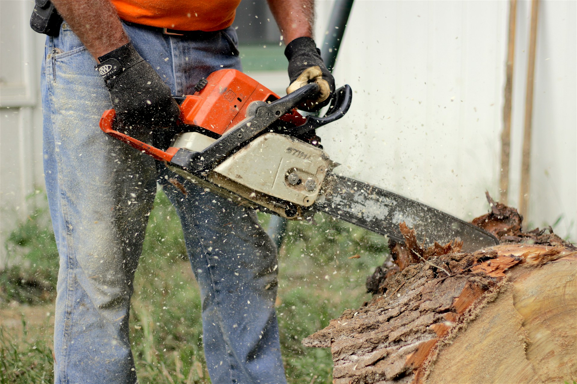 Person using a chainsaw. Image by Unsplash