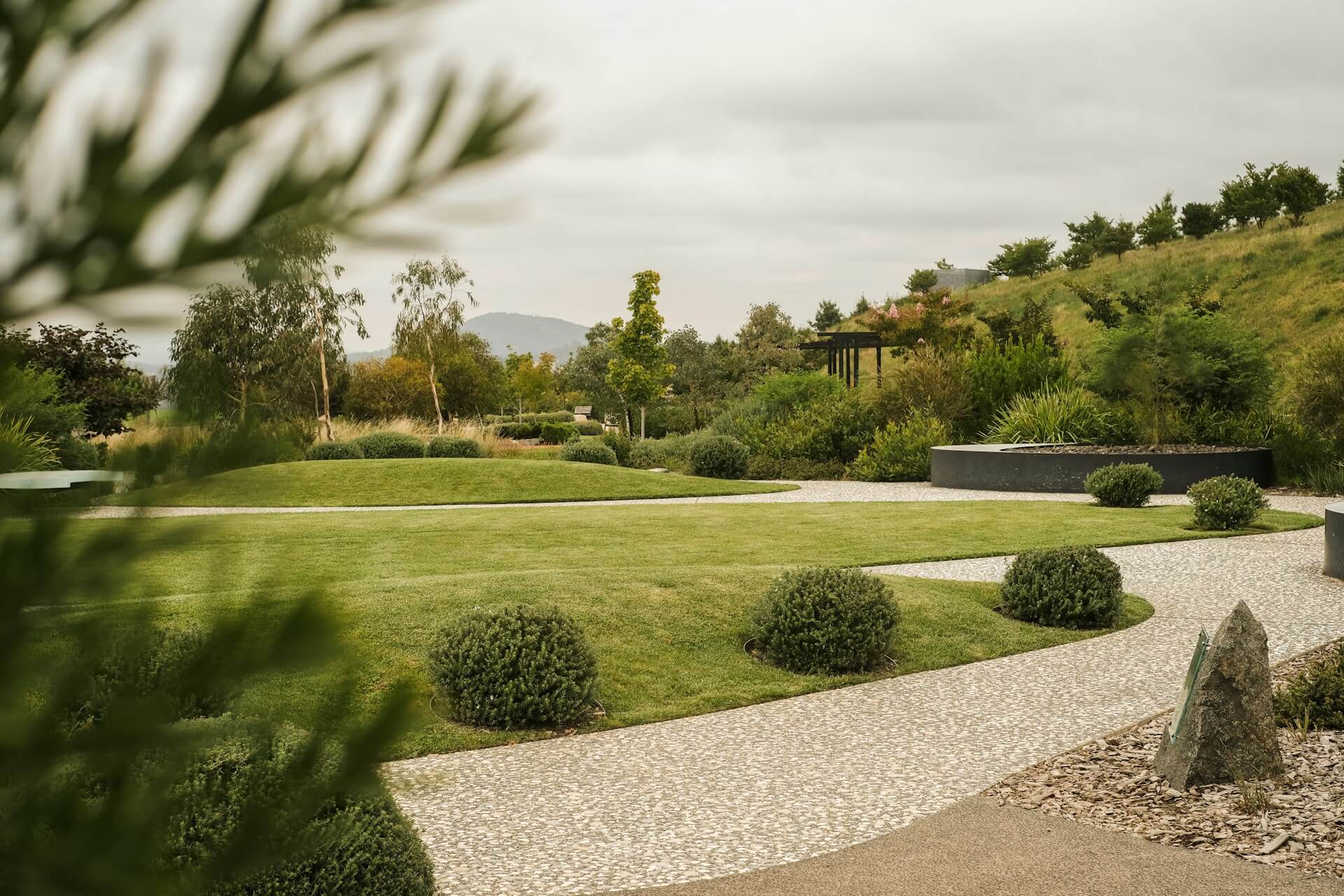 Large green lawn with bushes and trees. Image by Unsplash