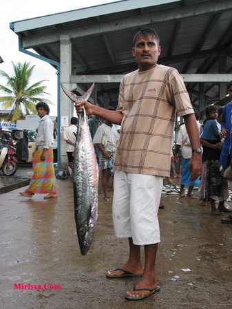 sri lanka,mirissa