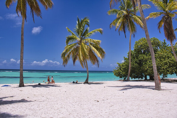 Beach, sand, ocean, palmtrees