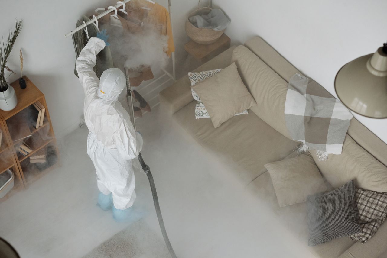Pest control technician inspecting a College Station home for termites and pests. Image by Pexels