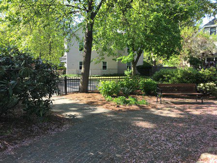 2 Bedroom Apartment for Rent in Brookline - Brookline Village, MA