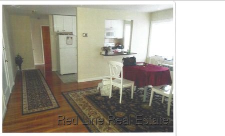 1 Bedroom Apartment for Rent in Arlington, MA
