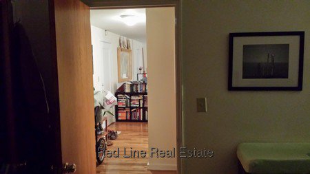 1 Bedroom Apartment for Rent in Arlington, MA