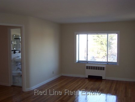 1 Bedroom Apartment for Rent in Arlington, MA