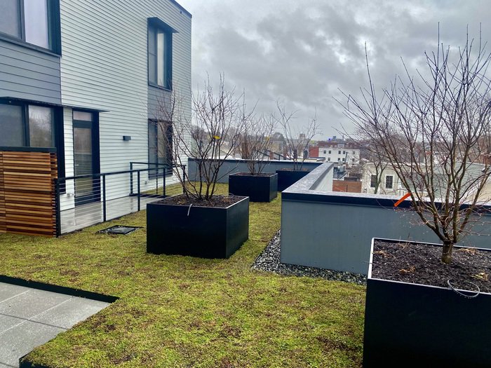 1 Bedroom Apartment for Rent in Somerville - East Somerville, 