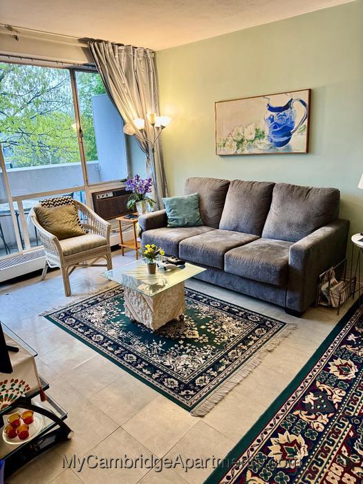 1 Bedroom Apartment for Rent in Cambridge - Harvard Square, 
