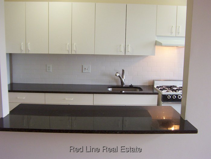 1 Bedroom Apartment for Rent in Somerville - Winter Hill, MA