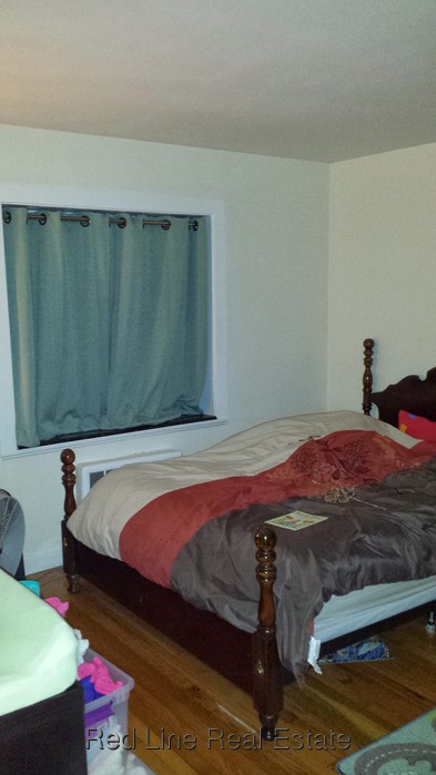 1 Bedroom Apartment for Rent in Arlington, MA