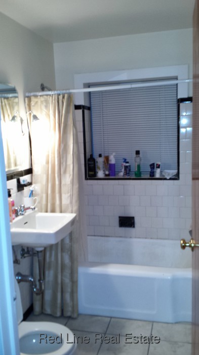 1 Bedroom Apartment for Rent in Arlington, MA