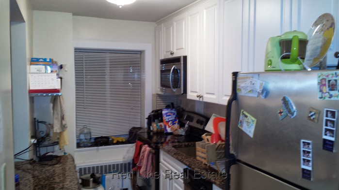 1 Bedroom Apartment for Rent in Arlington, MA