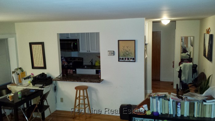 1 Bedroom Apartment for Rent in Arlington, MA
