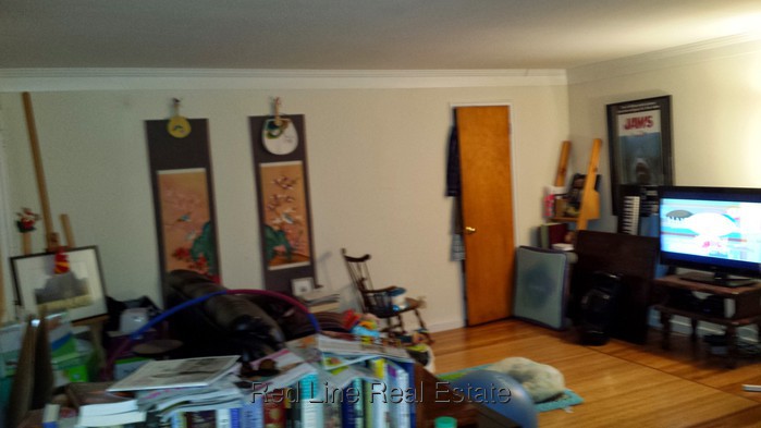 1 Bedroom Apartment for Rent in Arlington, MA