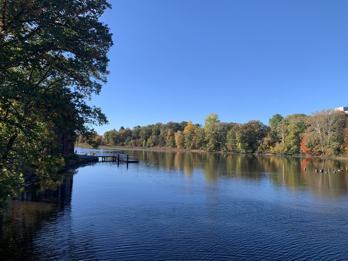 0.76 Bed Apartment for Rent in Waltham MA | Listed by CJL Rentals &amp; Property Management