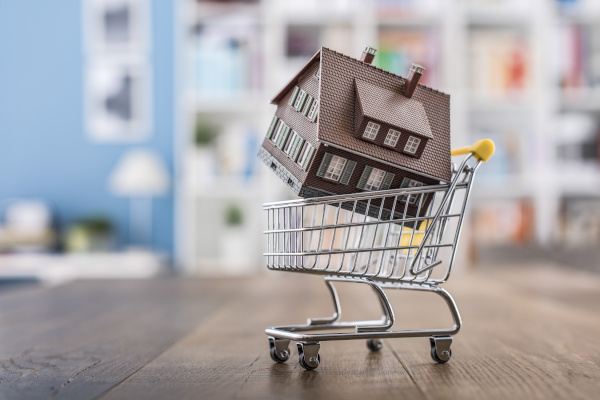 house in a shopping cart