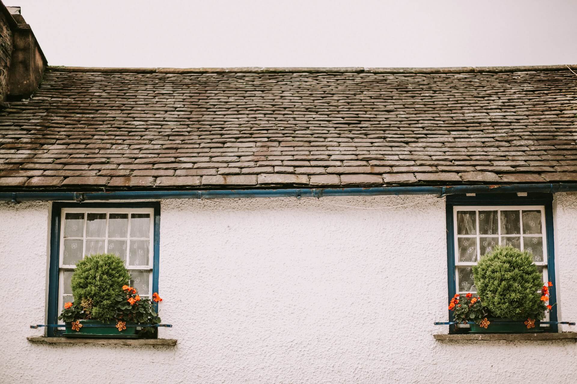 White house iwth blue trim, Window boxes with plants. Image by Unsplash