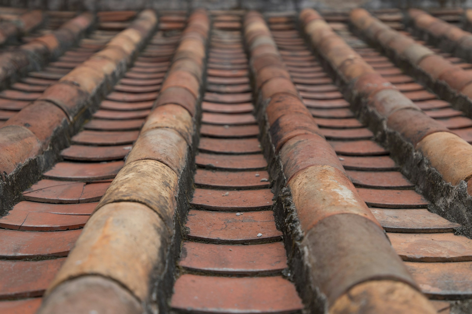 Roof tiles. Image by Unsplash.