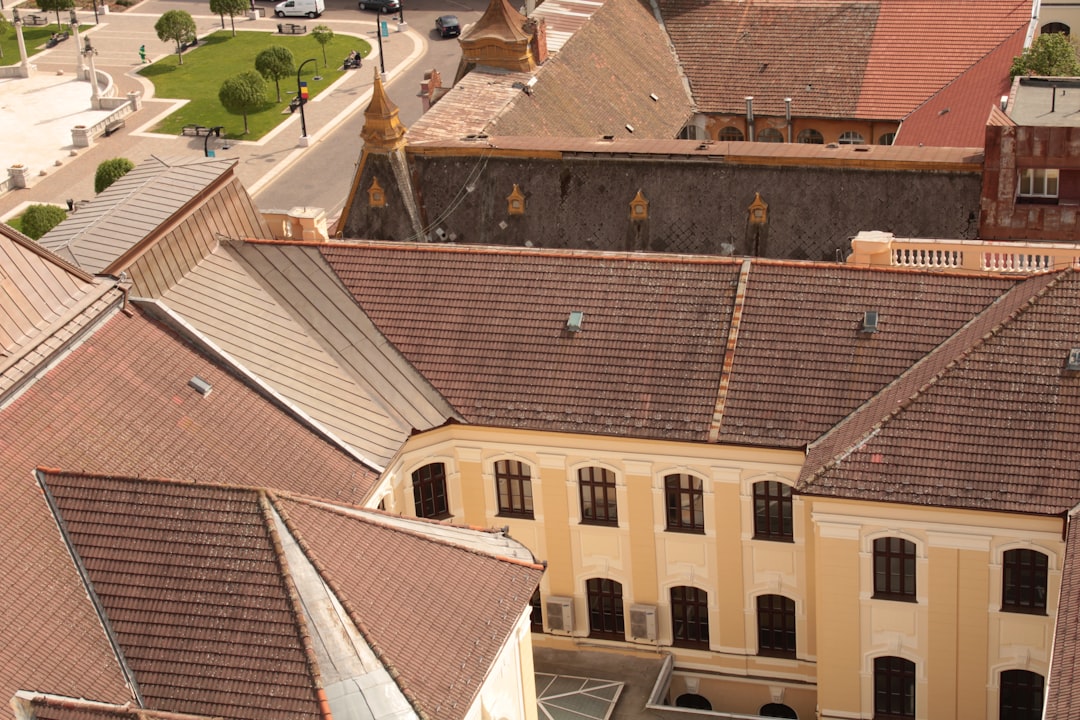 Arial view of housing. Image by Unsplash