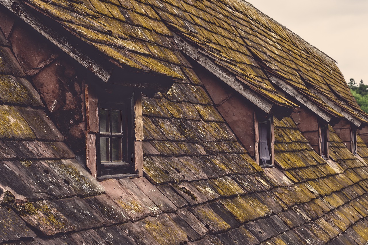 old roof shingles on his roof with moss. 4 windows. Image by Pixabay