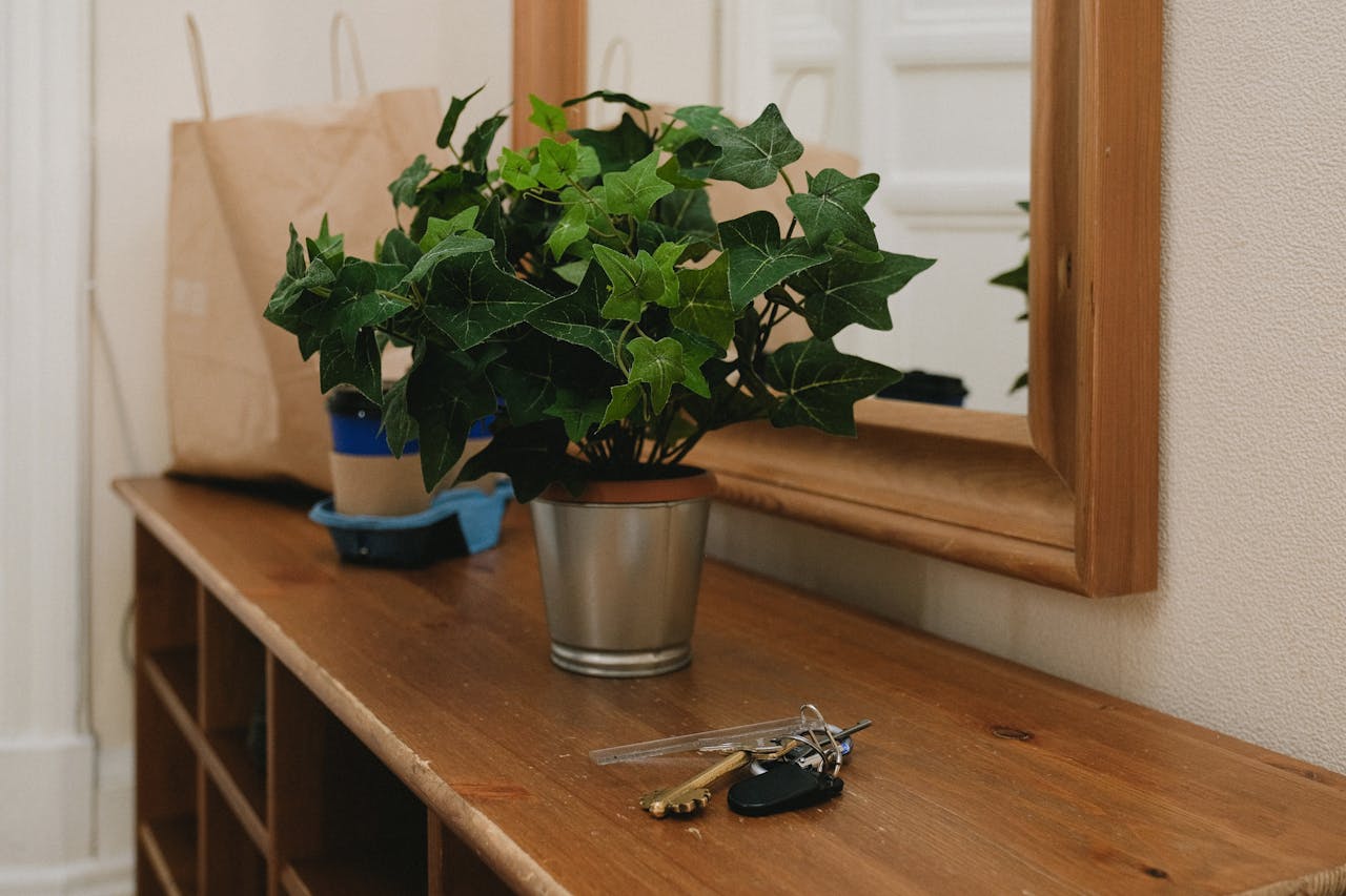 keys and a plant in a silber metal pot. Image by Pexels